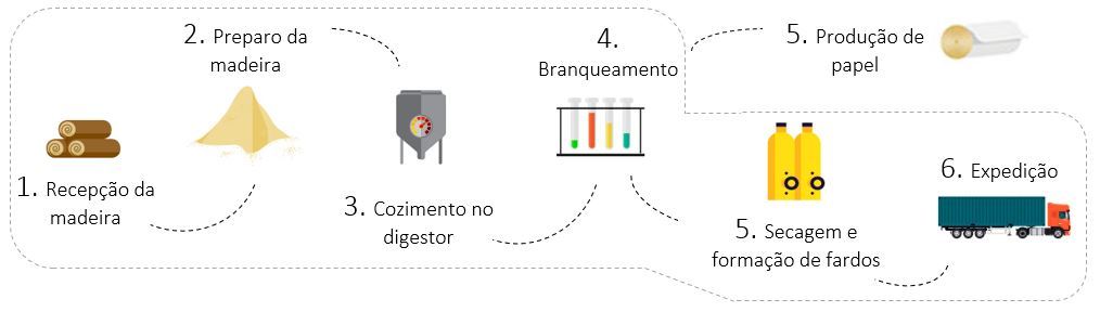Entendendo o setor de Papel e Celulose - XP Investimentos