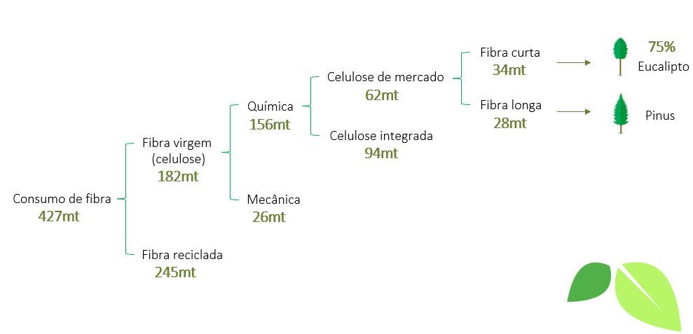 Entendendo o setor de Papel e Celulose - XP Investimentos