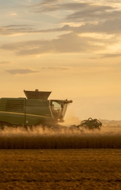 El Niño: tema quente, mas longe de garantir perdas de produtividade